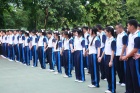 Peace day 2013